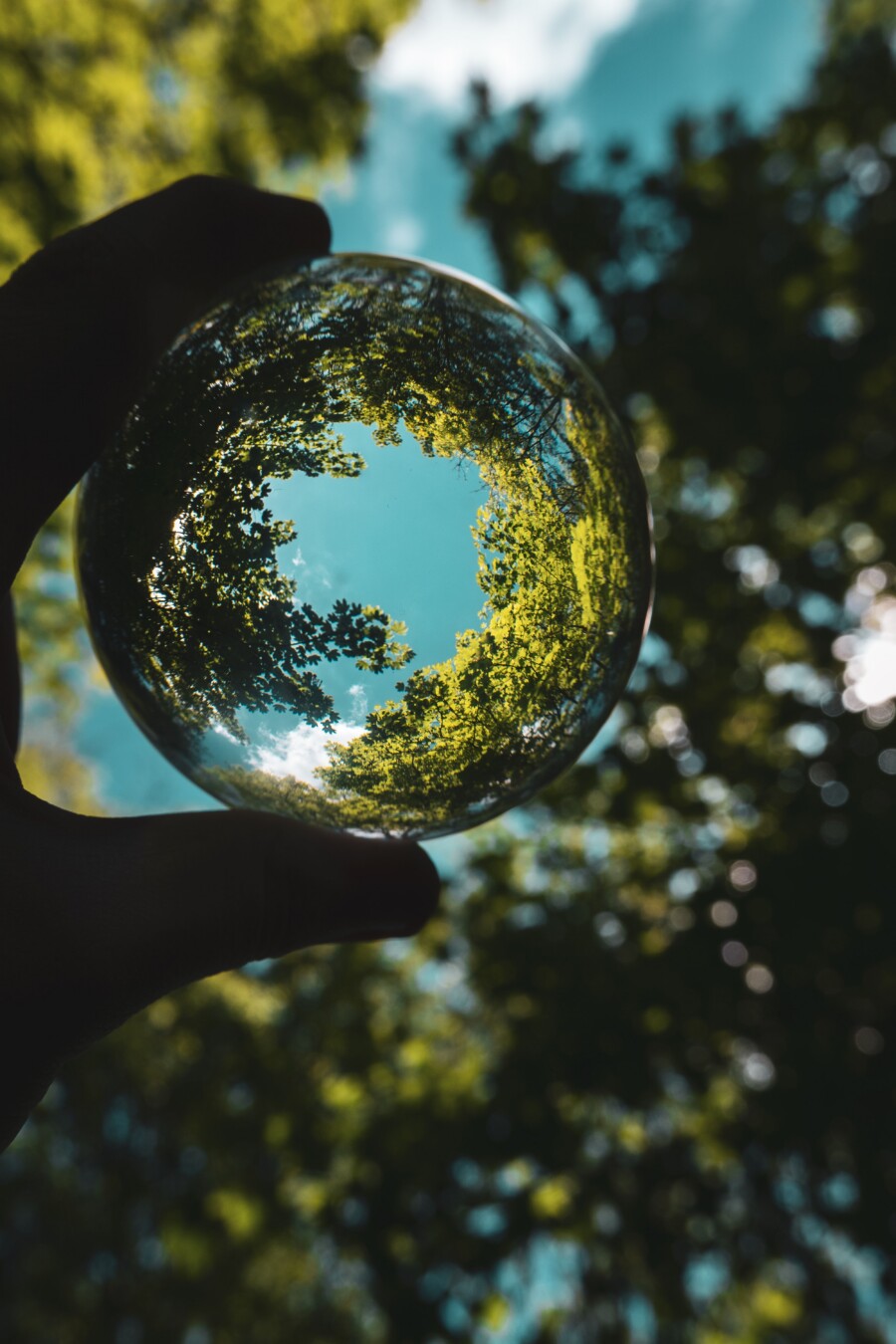 Sustainability